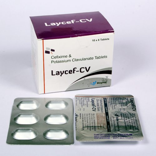 LAYCEF-CV