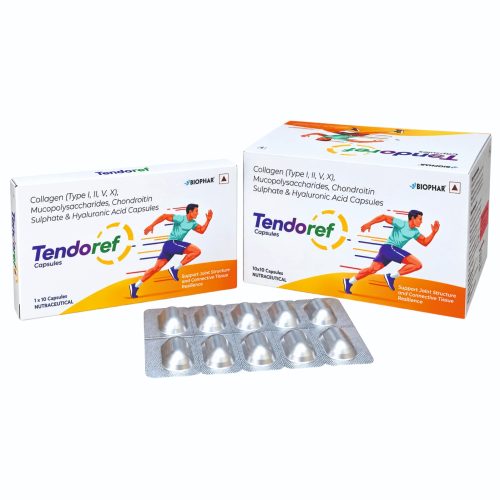 Collagen Chondroitin Hyaluronic Acid Capsules